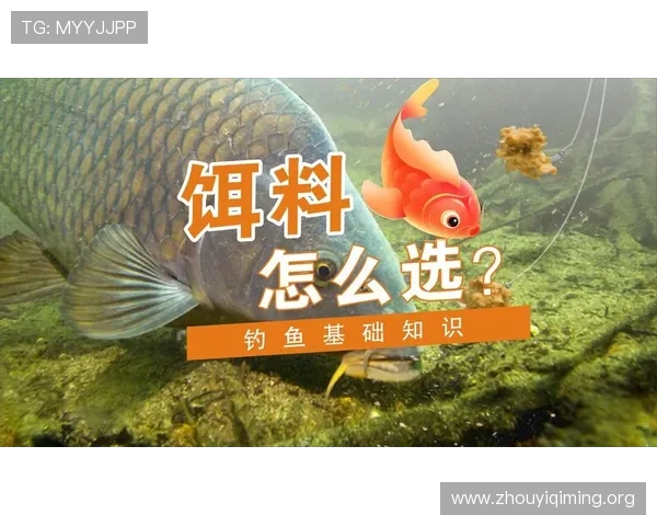 壹号官方新手指南详细讲解游戏基础操作与提升技巧帮助快速入门